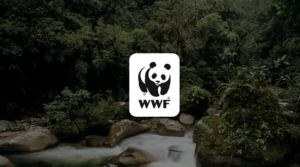 endangered species conservation